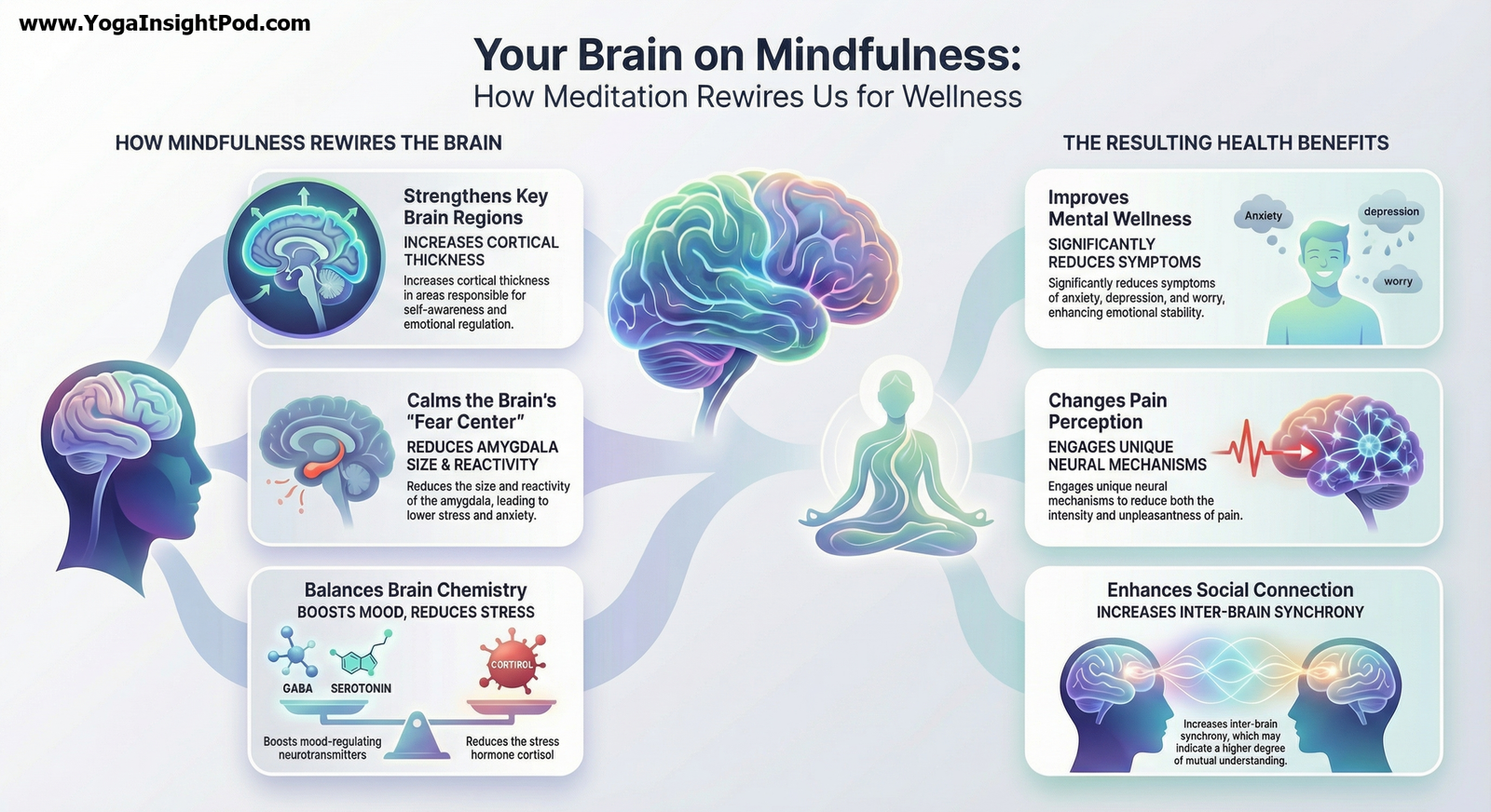 Mindfulness and the Brain: How Meditation Reshapes Stress, Pain, and Emotion