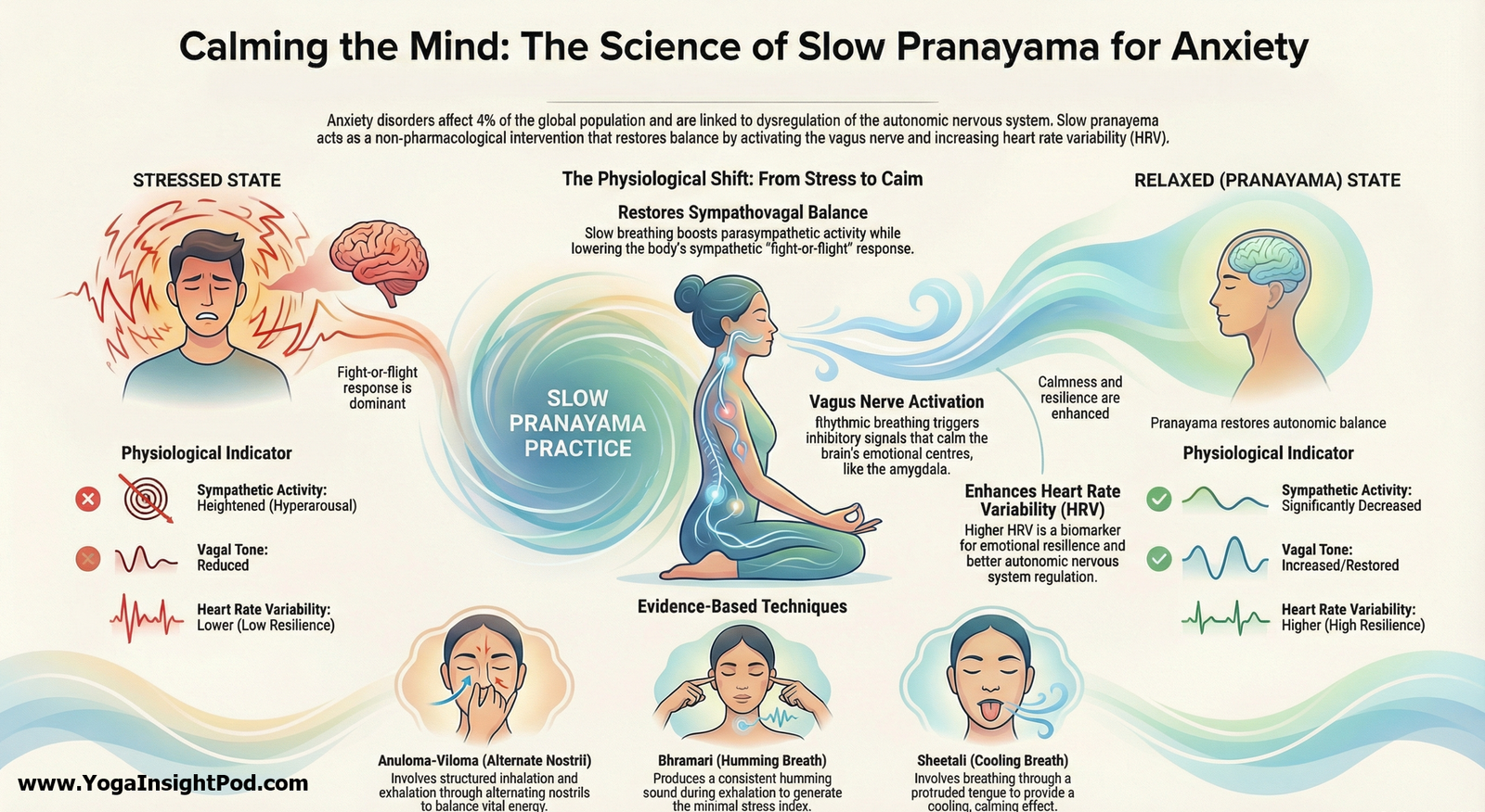 Slow Pranayama for Anxiety Relief: How Yogic Breathing Boosts Vagal Tone and Calms the Mind