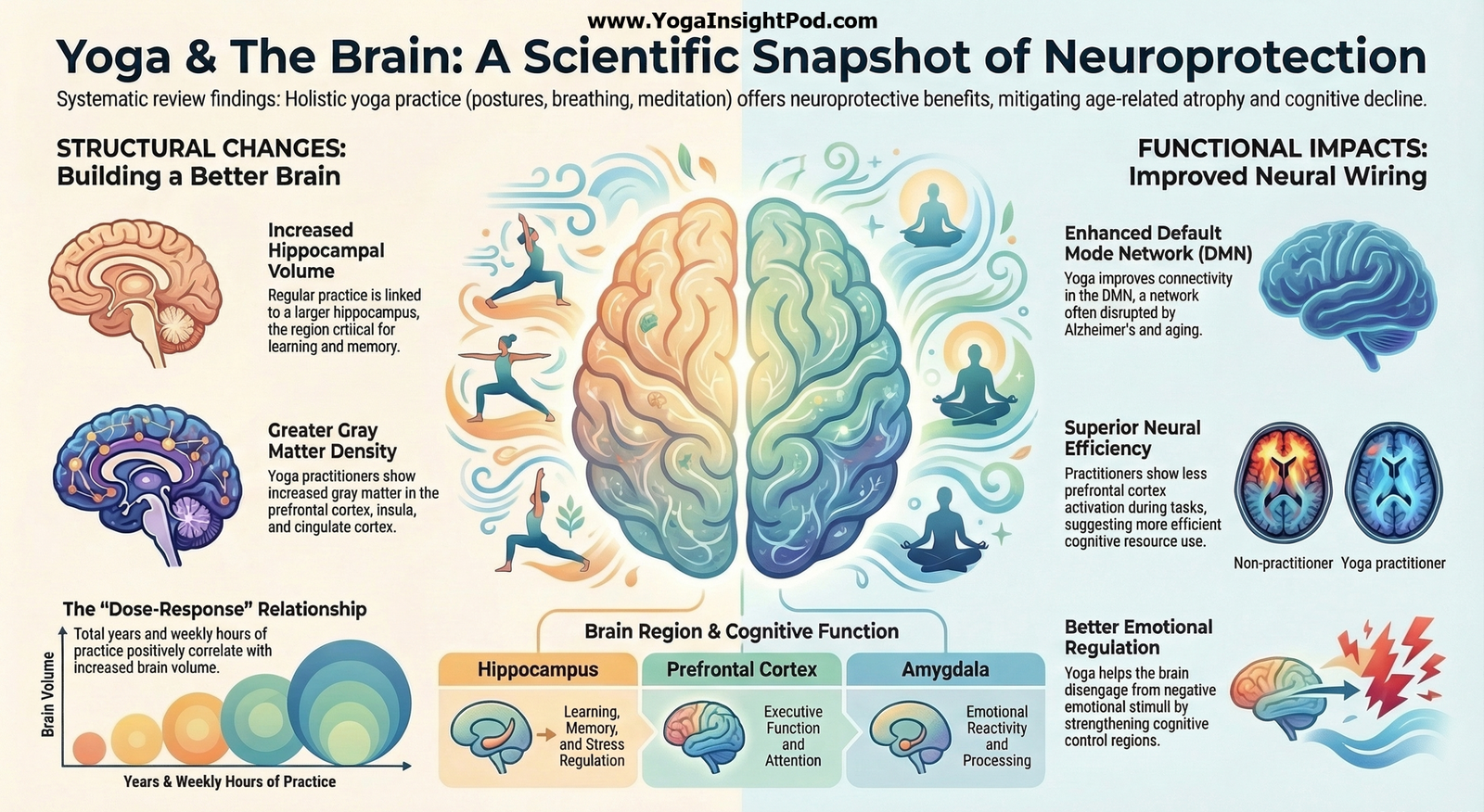 Yoga and Brain Health: What MRI Studies Reveal About How Practice Protects Memory and Aging Brains