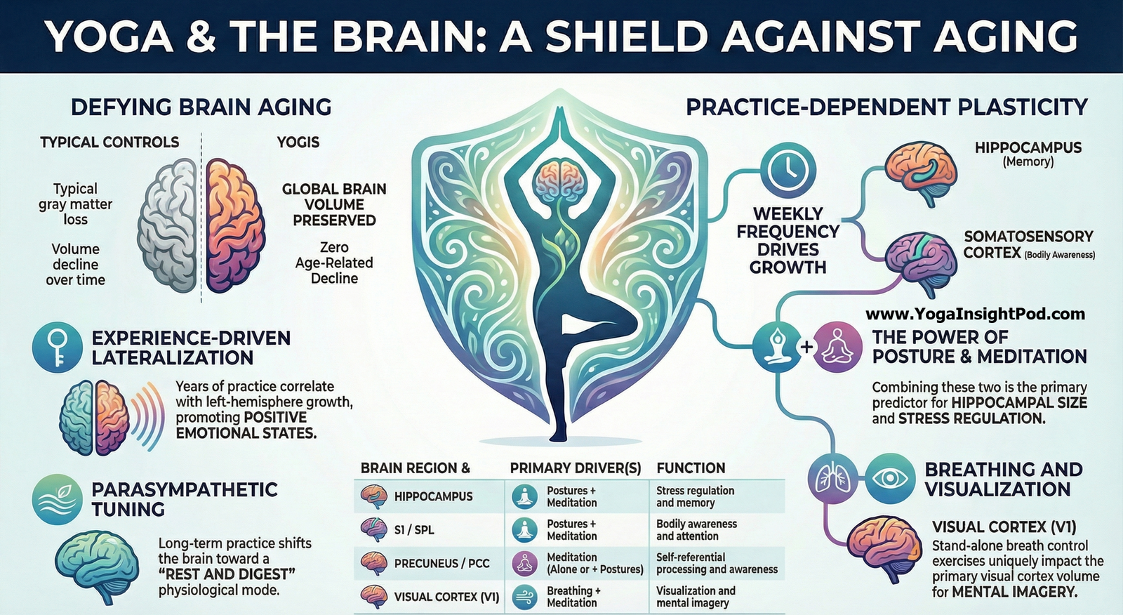Neuroprotective Effects of Yoga: MRI Study Shows How Long-Term Practice May Preserve Gray Matter in Aging Brains