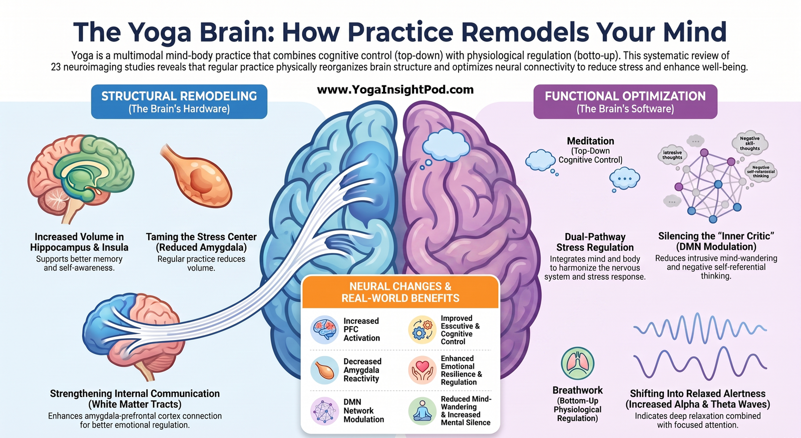How Yoga Shapes the Brain: What Neuroimaging Research Reveals